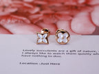 [⭐JeweliWhal]STAR AND SUN PINK GOLD MOP STUD EARRINGS