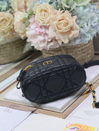 CARO 16 ミニ バニティケース（ブラック マクロカナージュ ラムスキン）