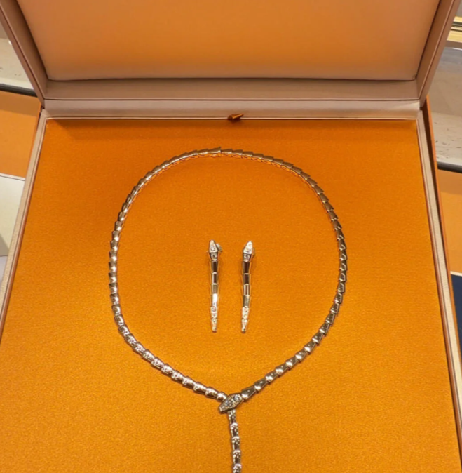 [⭐JeweliWhal]新登場！サーペント ダイヤモンド ネックレス