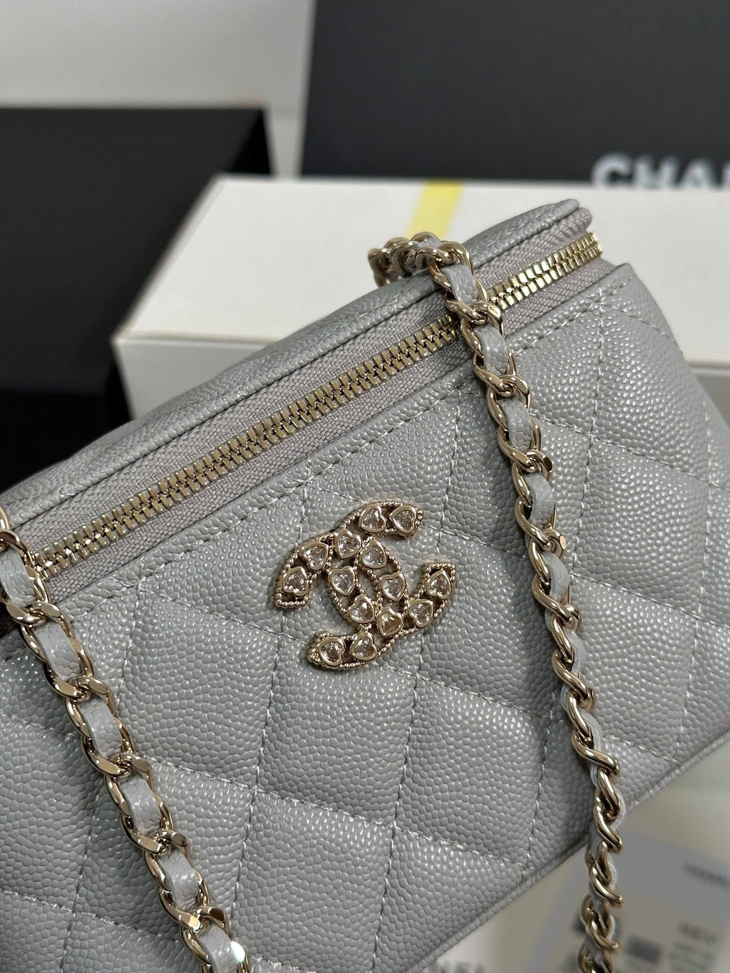 VANITY CASE 17 CRYSTAL STUDDED LOGO IN GREY CALFSKIN GOLD HARDWARE