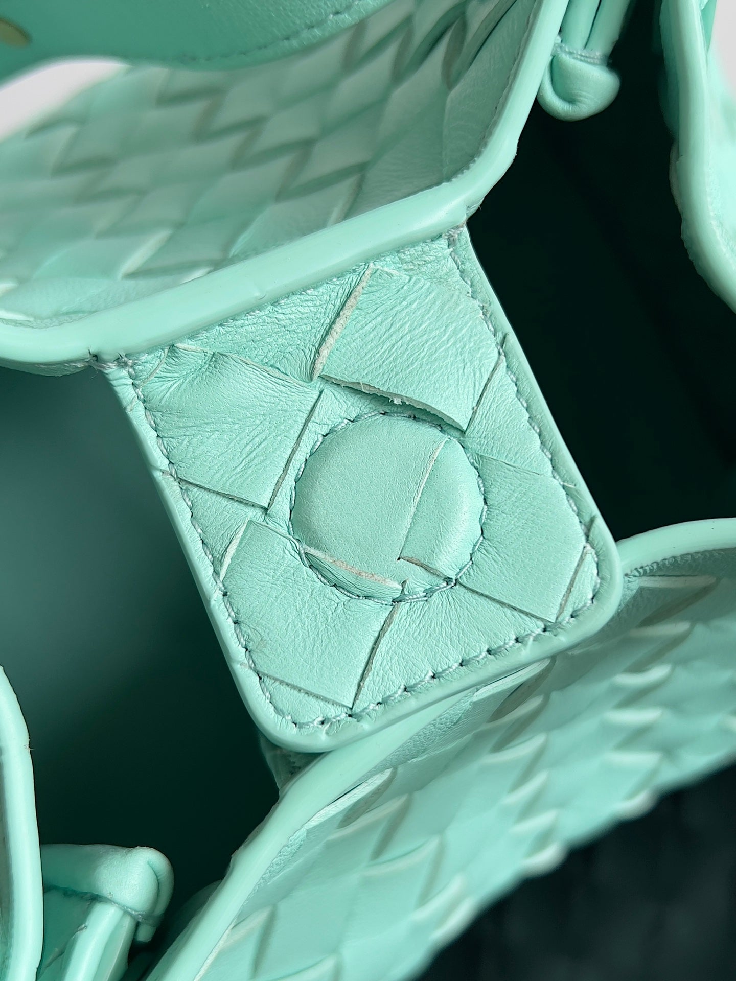 BV スモール パラシュート 21 グリーン オアシス ラムスキン Ghw 